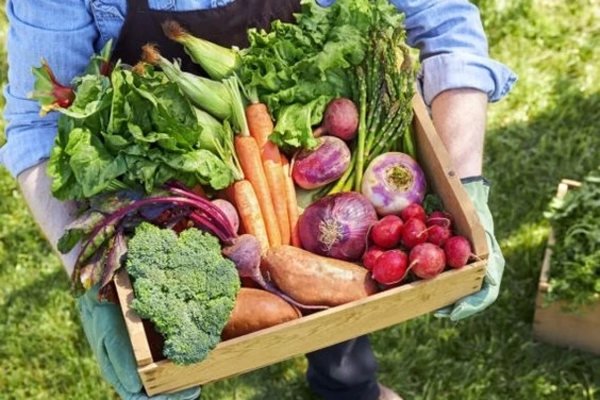 Alimentación sostenible