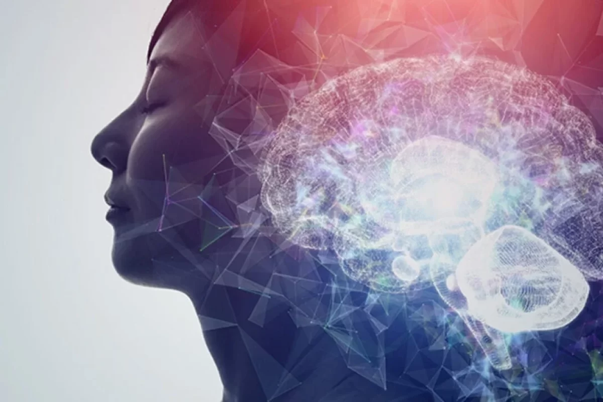 Cortisol: La hormona del estrés que debes controlar
