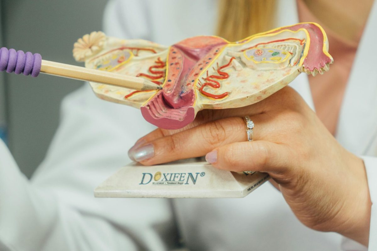 pexels-8pcarlos-morocho-2150734957-35260791